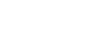 Logo Kunde FESH LIVING