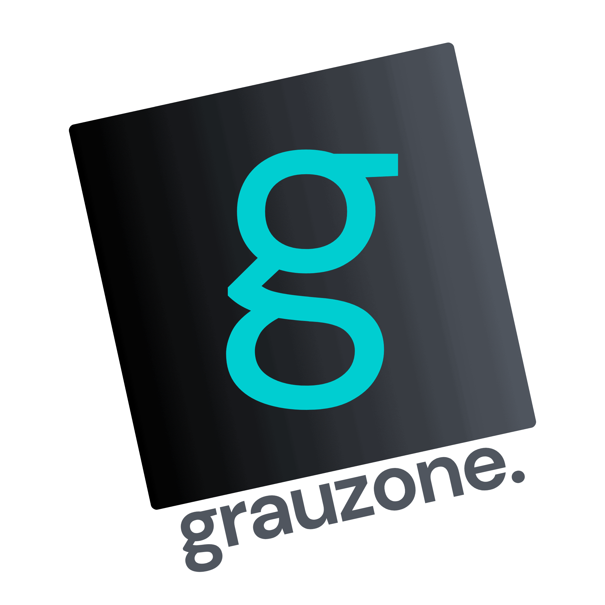 Logo Werbeagentur grauzone